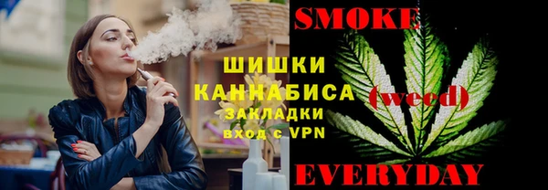 прущие грибы Армянск