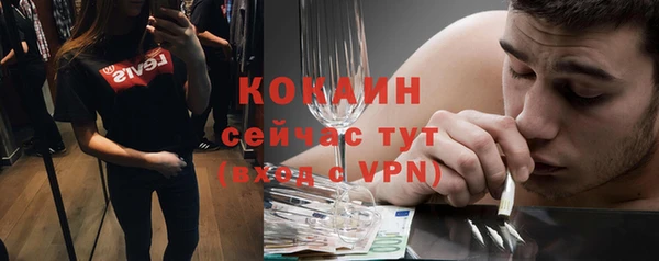 стафф Аркадак