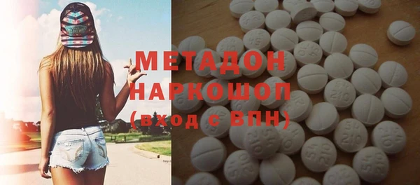 прущие грибы Армянск