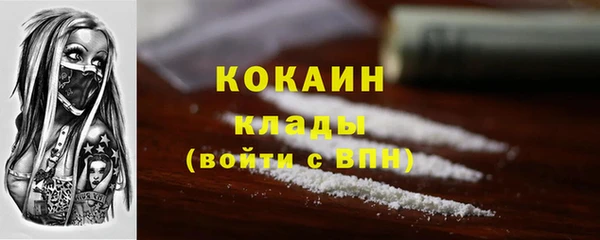 прущие грибы Армянск