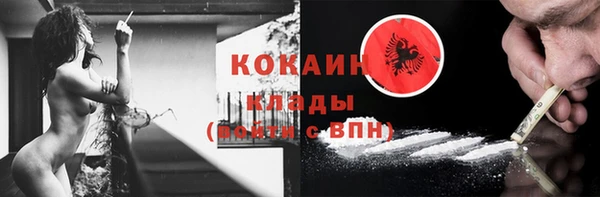стафф Аркадак