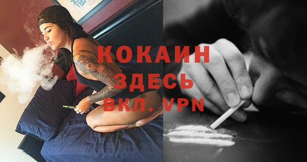 эйфоретик Осинники